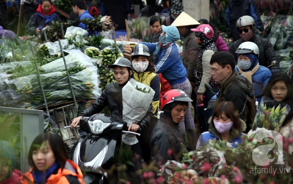 chợ hoa quảng bá